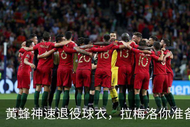 黄蜂神速退役球衣，拉梅洛你准备好了吗？